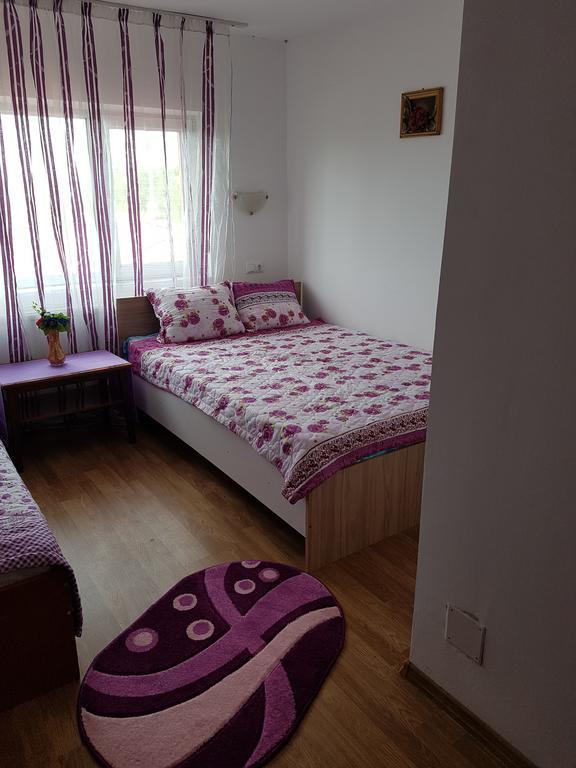 Casa Rustica Apart & Rooms Cimpineanca Bagian luar foto