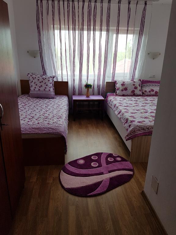 Casa Rustica Apart & Rooms Cimpineanca Bagian luar foto