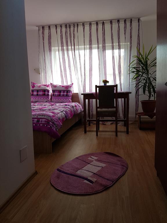 Casa Rustica Apart & Rooms Cimpineanca Bagian luar foto