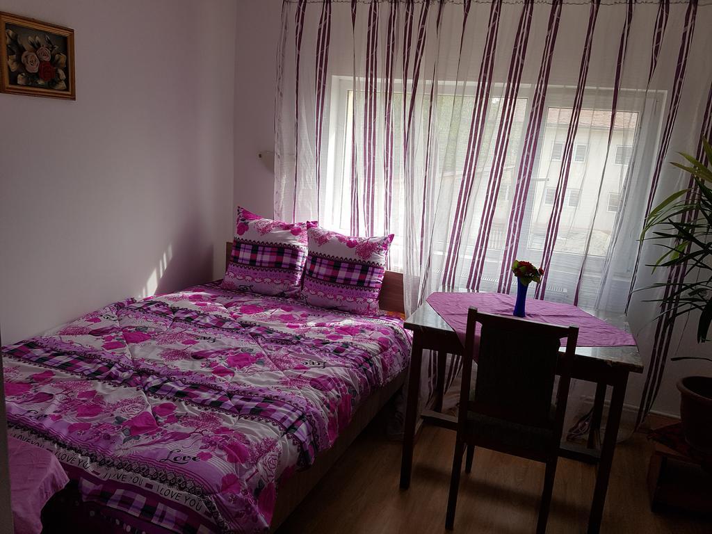 Casa Rustica Apart & Rooms Cimpineanca Bagian luar foto
